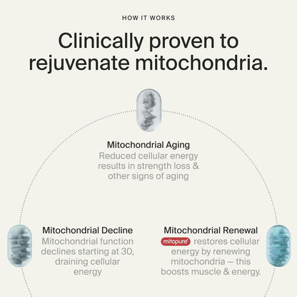 Mitopure Softgels
