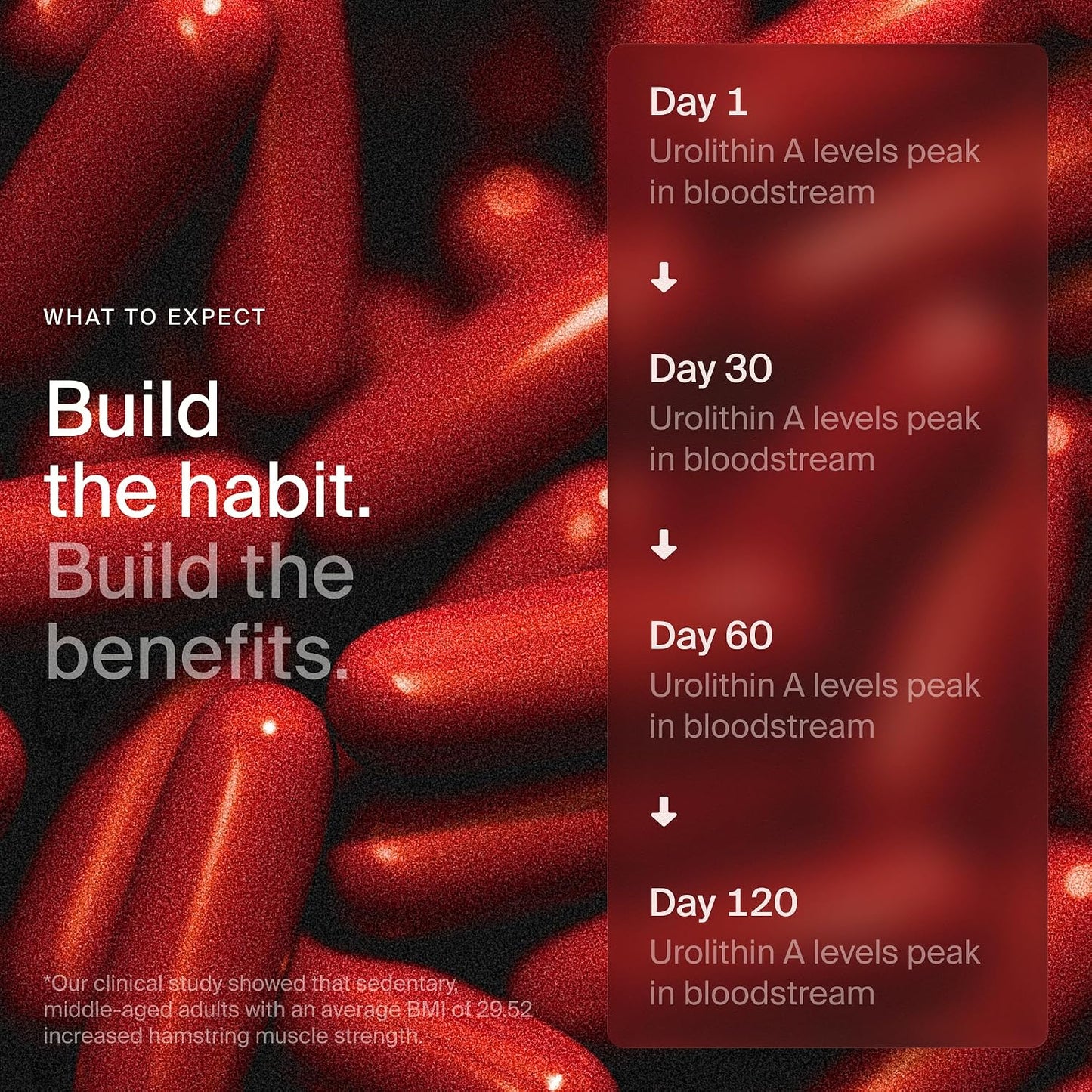 Mitopure Softgels